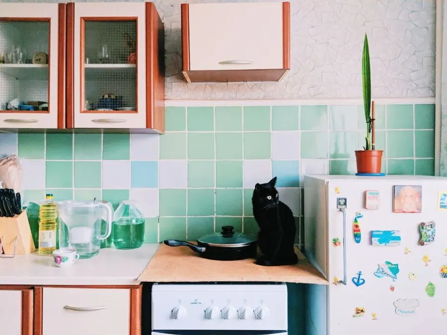 Pastel green and white square tiles behind a kitchen counter